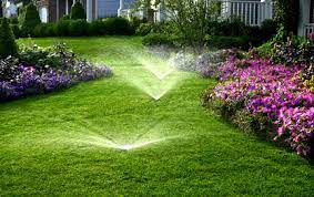 Imported Garden Sprinkler